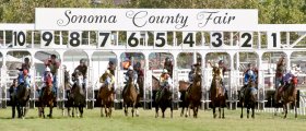 Sonoma County Fair